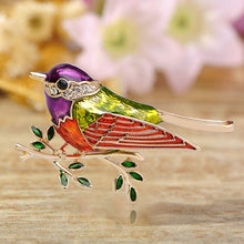 Load image into Gallery viewer, coloured
 Enamel Crystal Birds Brooch Pins neck wrapping
 Dress neck neckband
 Clips decor add-ons - Beijooo