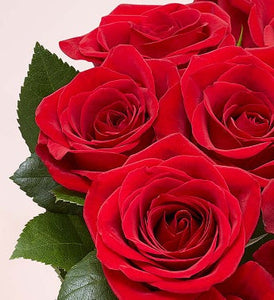 1-800-Flowers Two Dozen Red Roses with Red Vase - Beijooo
