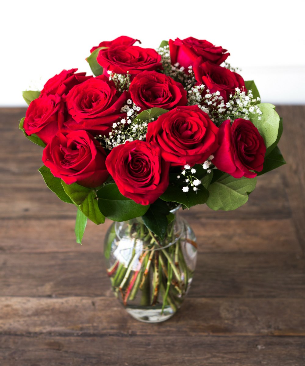 One Dozen Red Roses - Beijooo