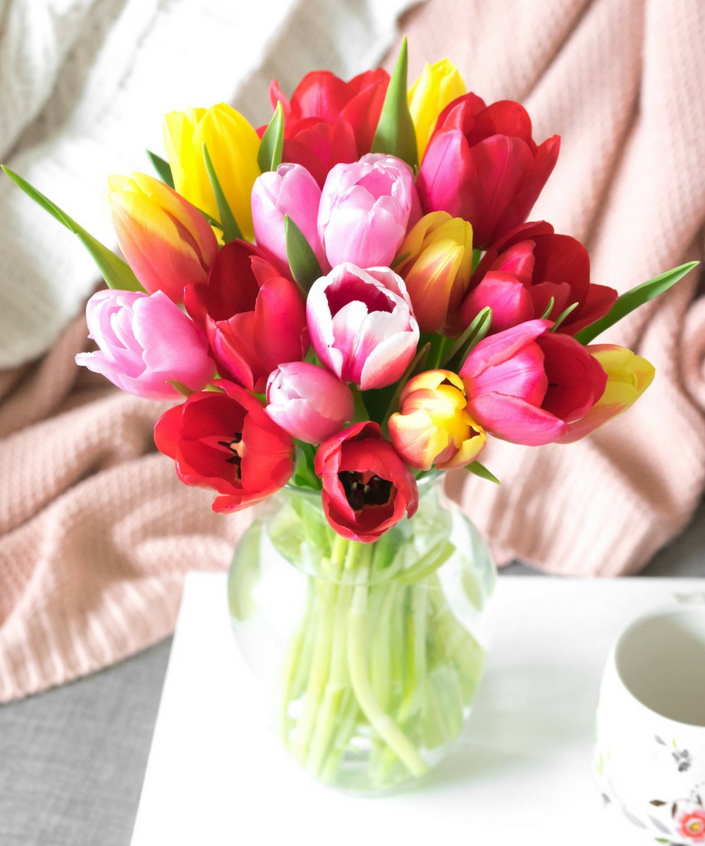 Sunshine Rainbow Tulips - 20 Stems - Beijooo
